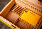 Humidor Jaune